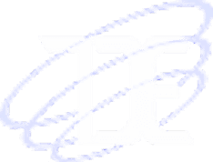 Logo Footer